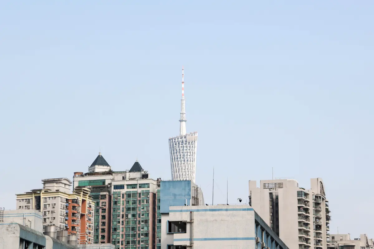 晴空下，广州塔从城市楼宇之间升起